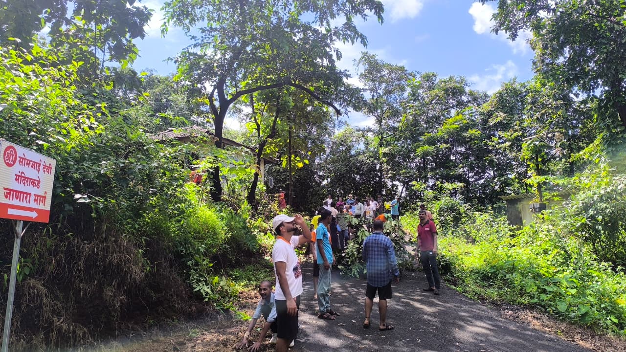 अधिक प्रतिमा 7