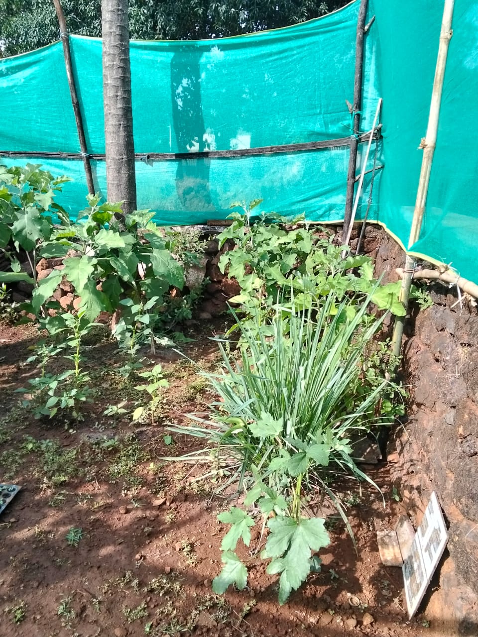 अधिक प्रतिमा 2